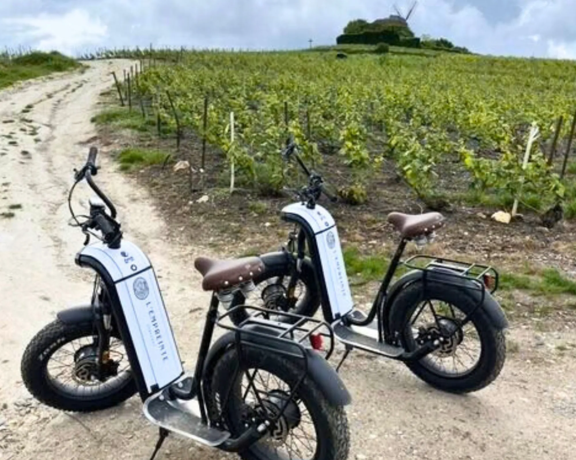 Balade dans le vignoble champenois